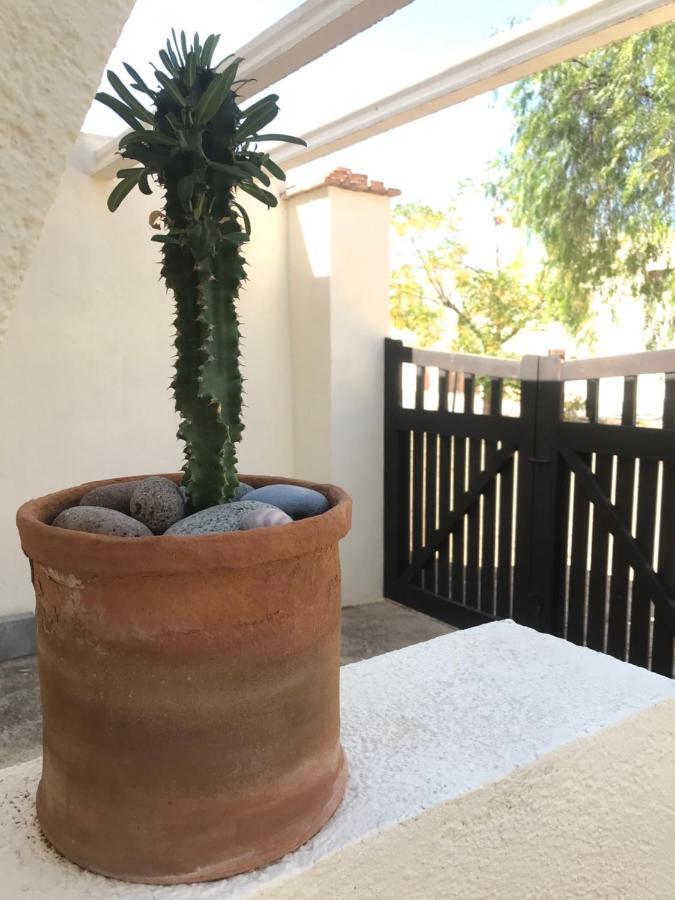 La Chumbera